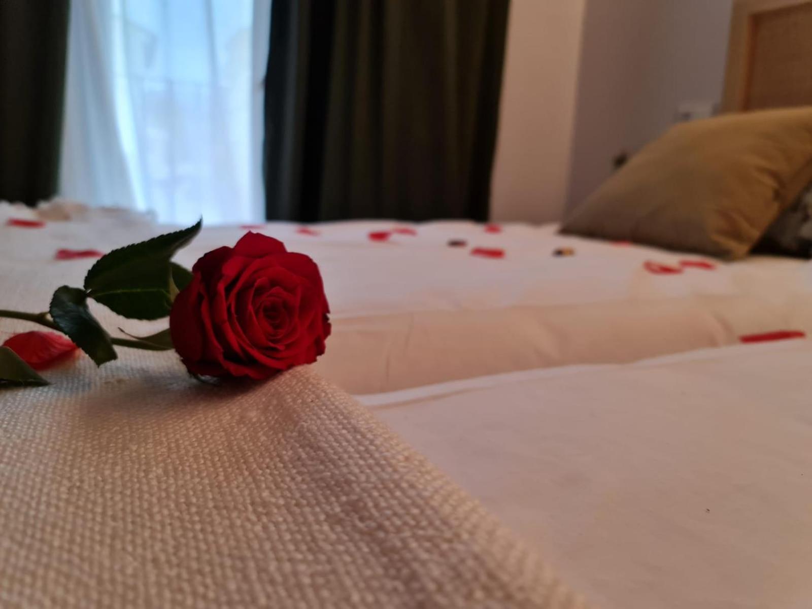 Hotel Camino De Las Estrellas Serranillos Экстерьер фото