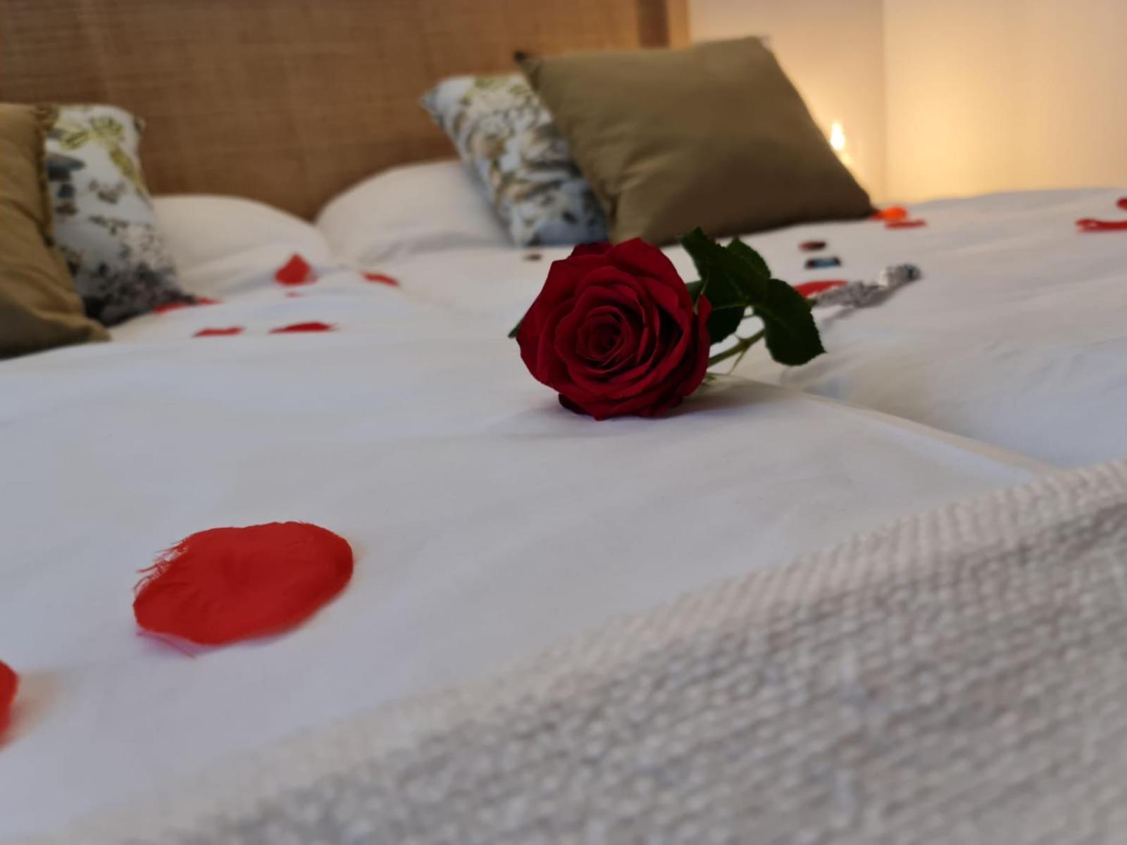 Hotel Camino De Las Estrellas Serranillos Экстерьер фото